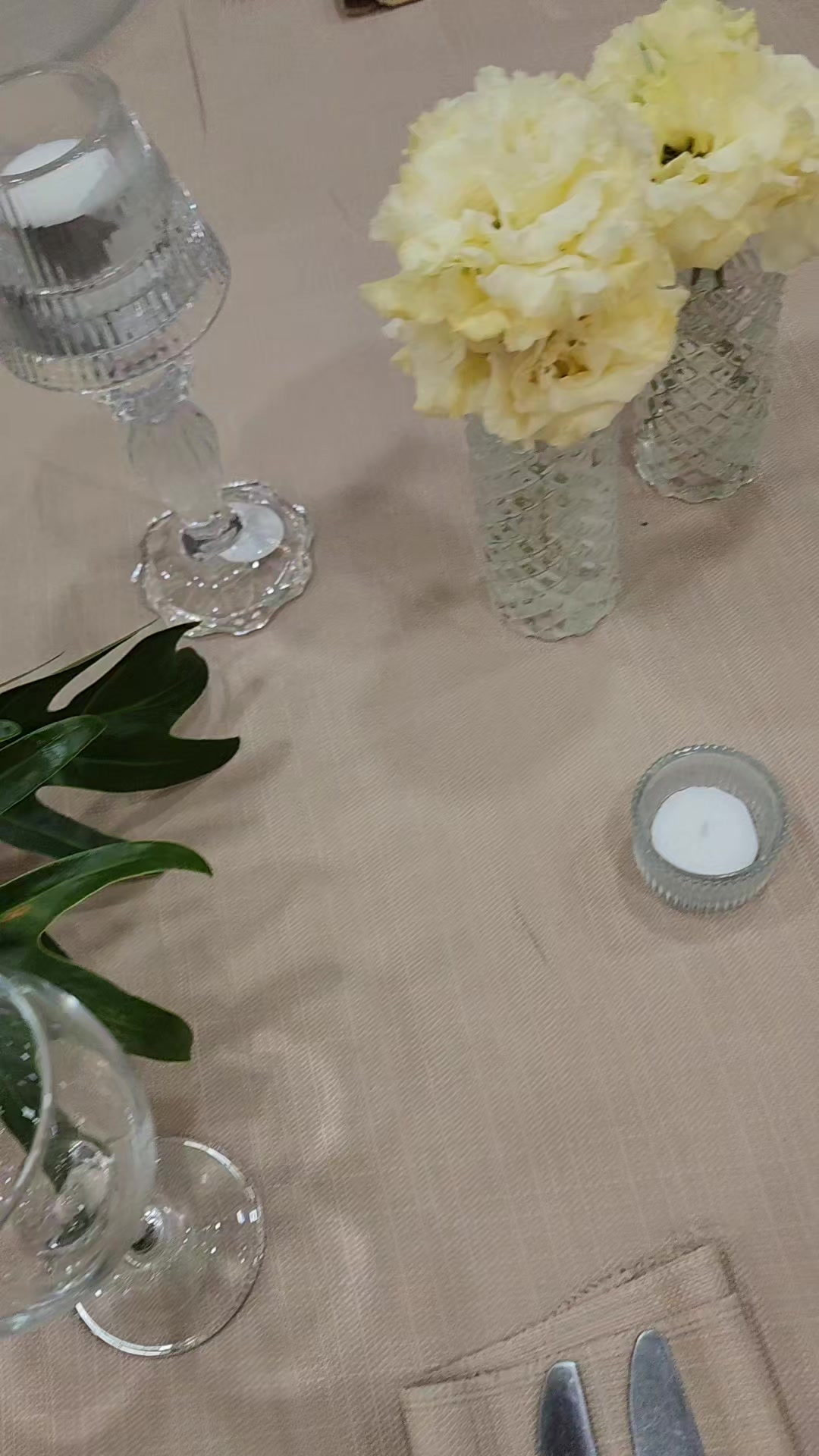 @טובי דרוק | מנגו הפקות