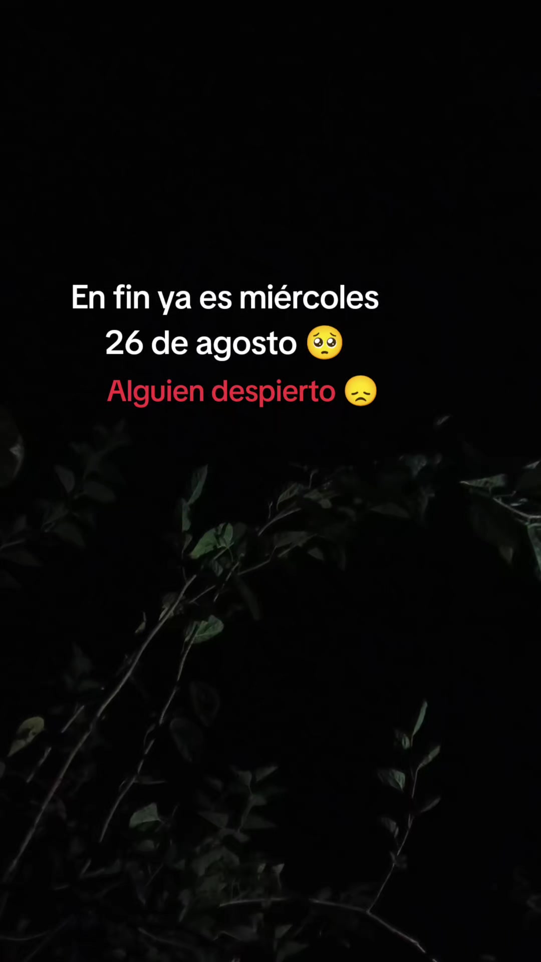 @@flaquito_071