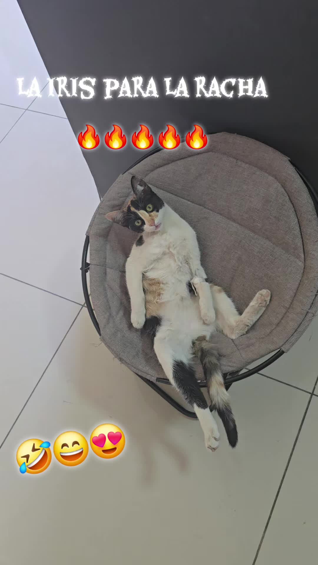 @🙊Bianca🍫🇨🇱🔥