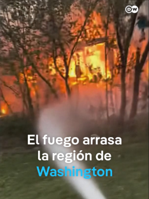 @DW Español