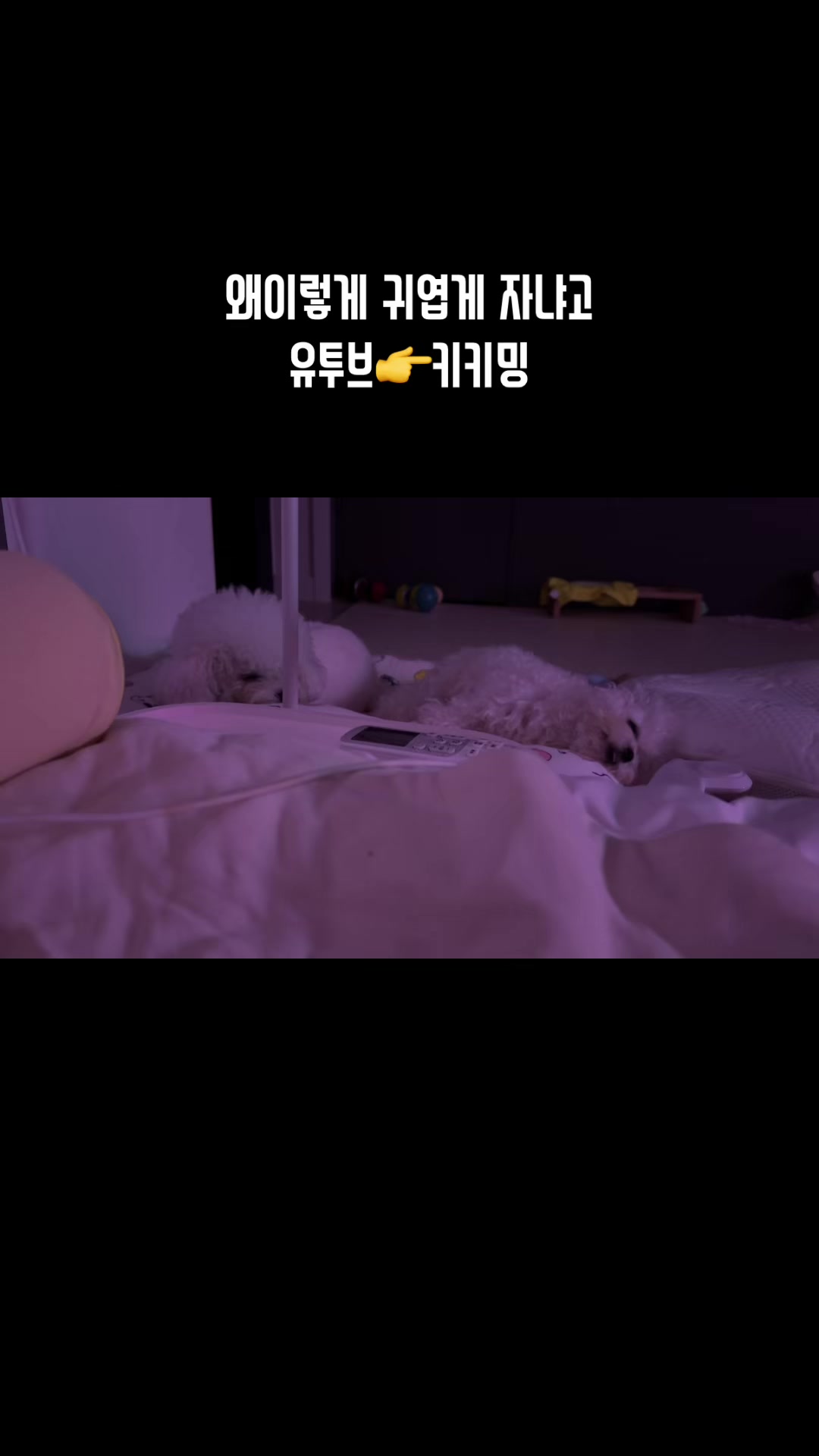 @jeju_kiki