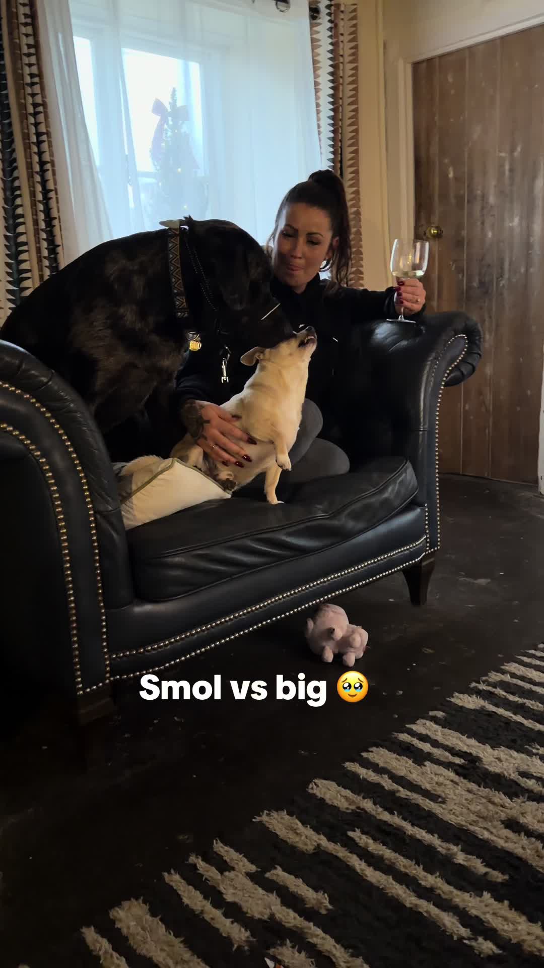 @Leotheleopardlab