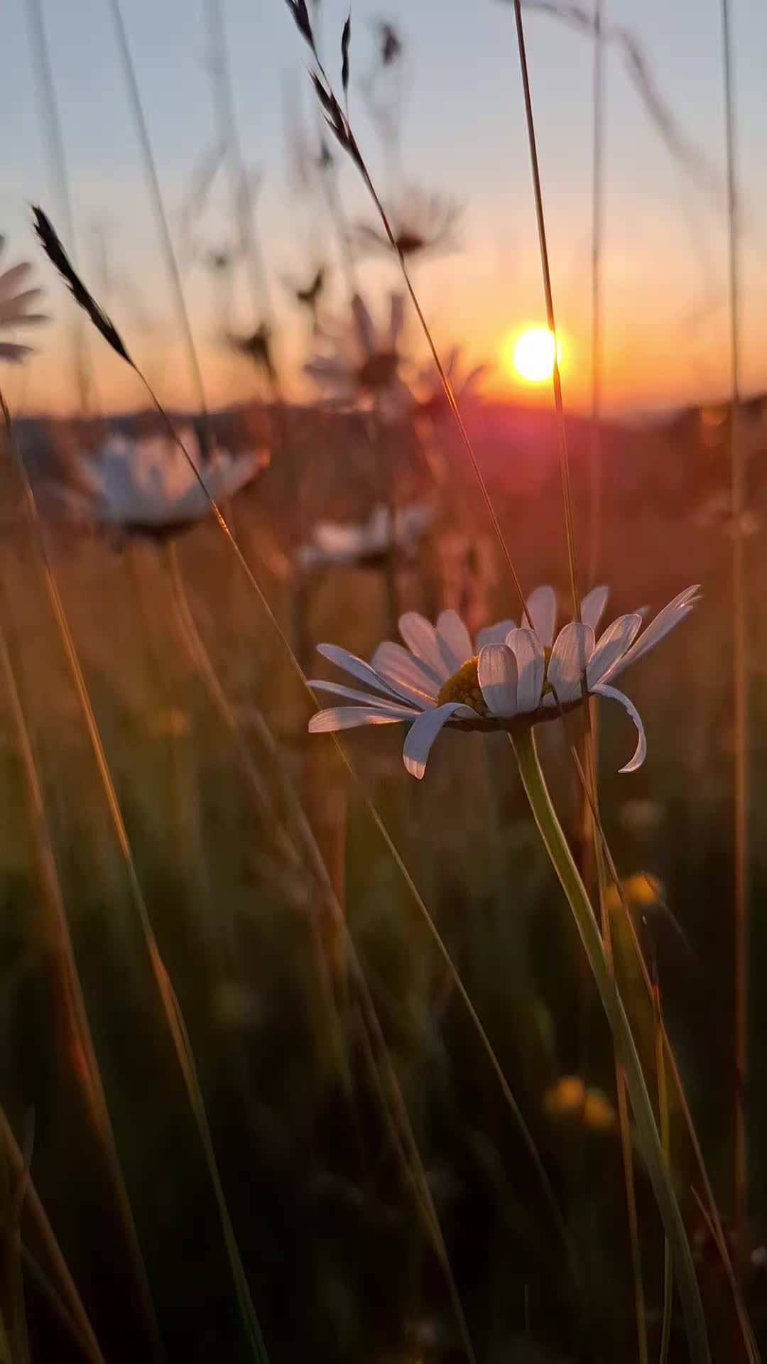 @George.007