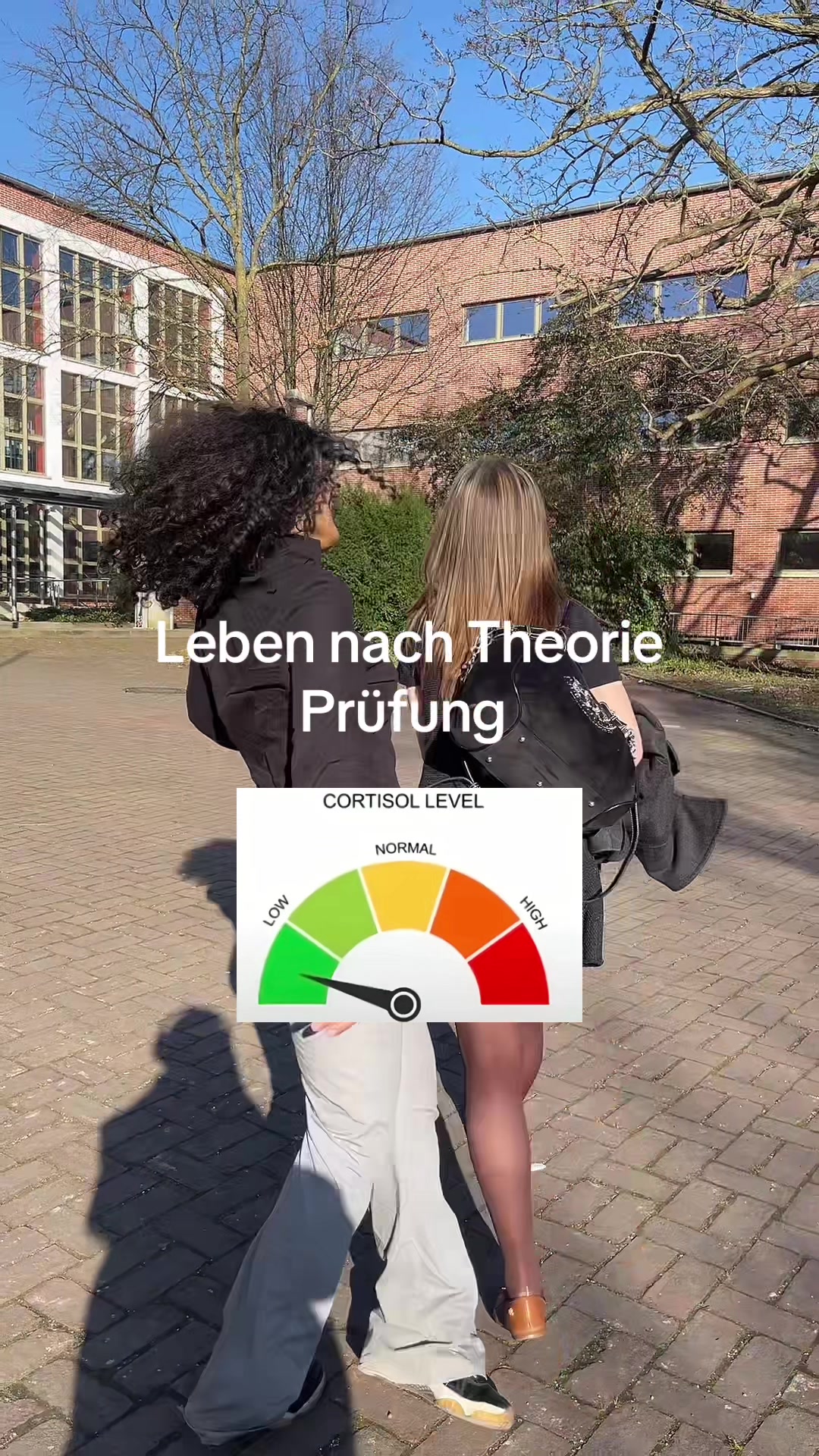 @toruhrin