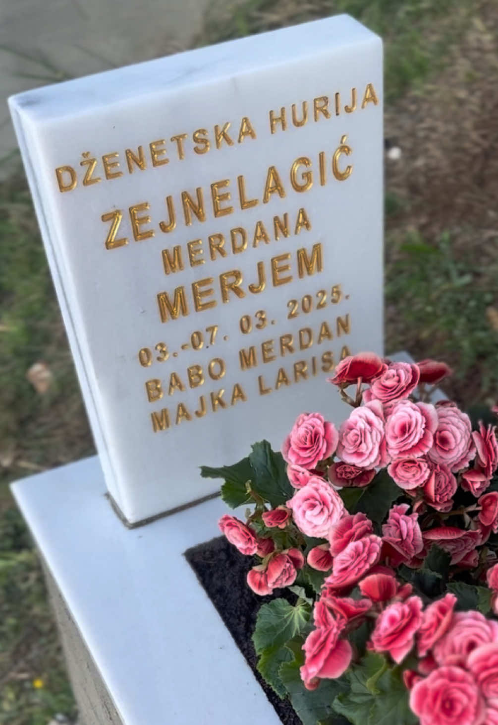 @Merdan Larisa Zejnelagić