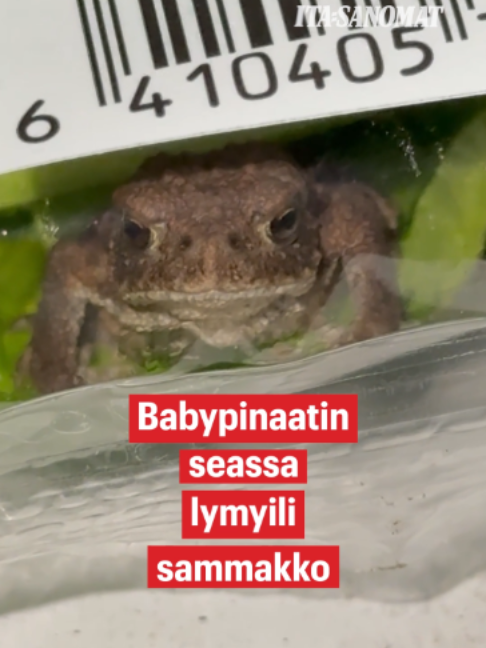 @Ilta-Sanomat