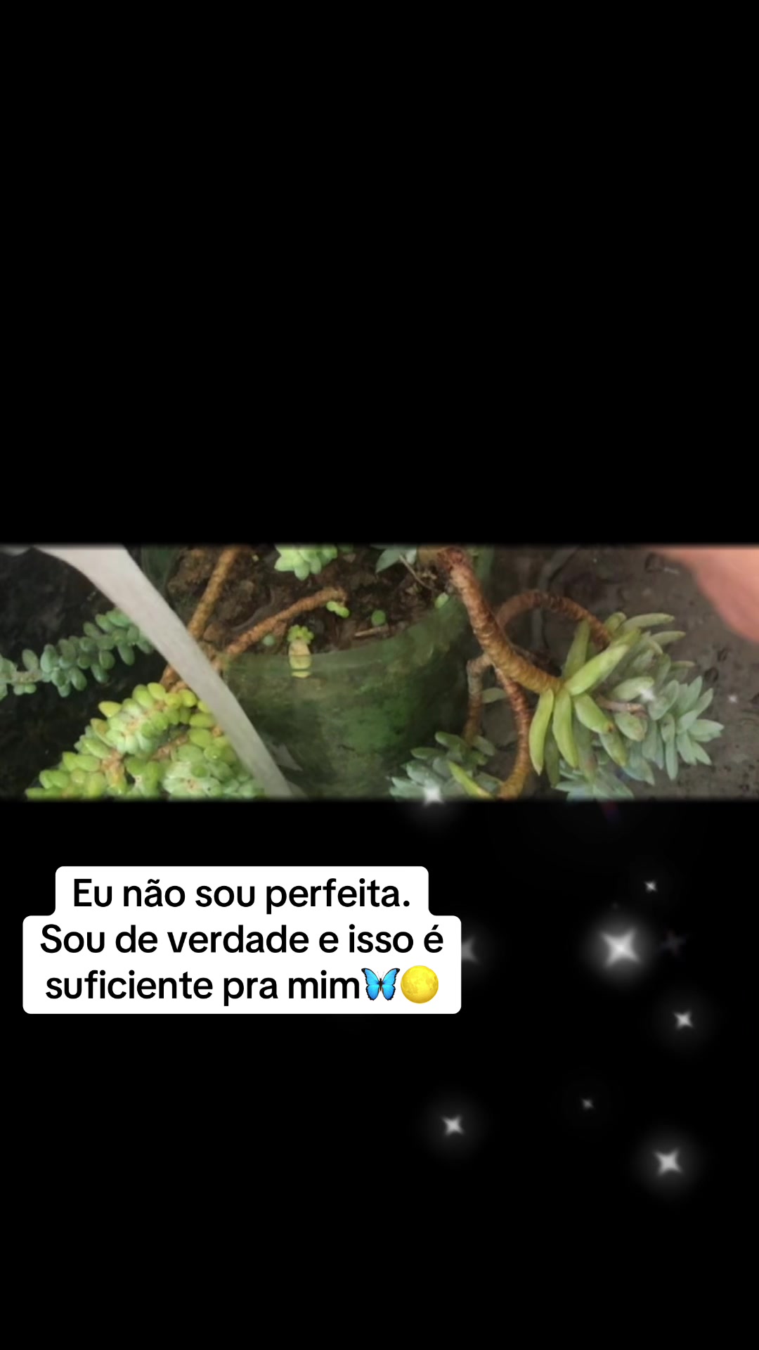 @Thais Voss