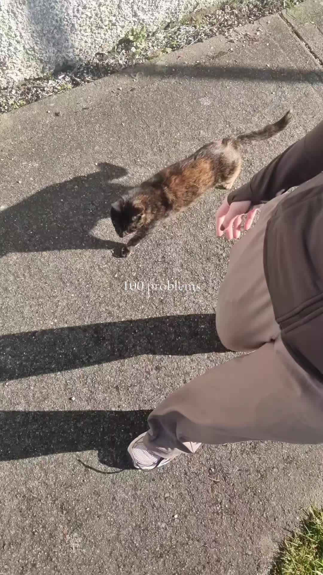 @Sofia 🇦🇫