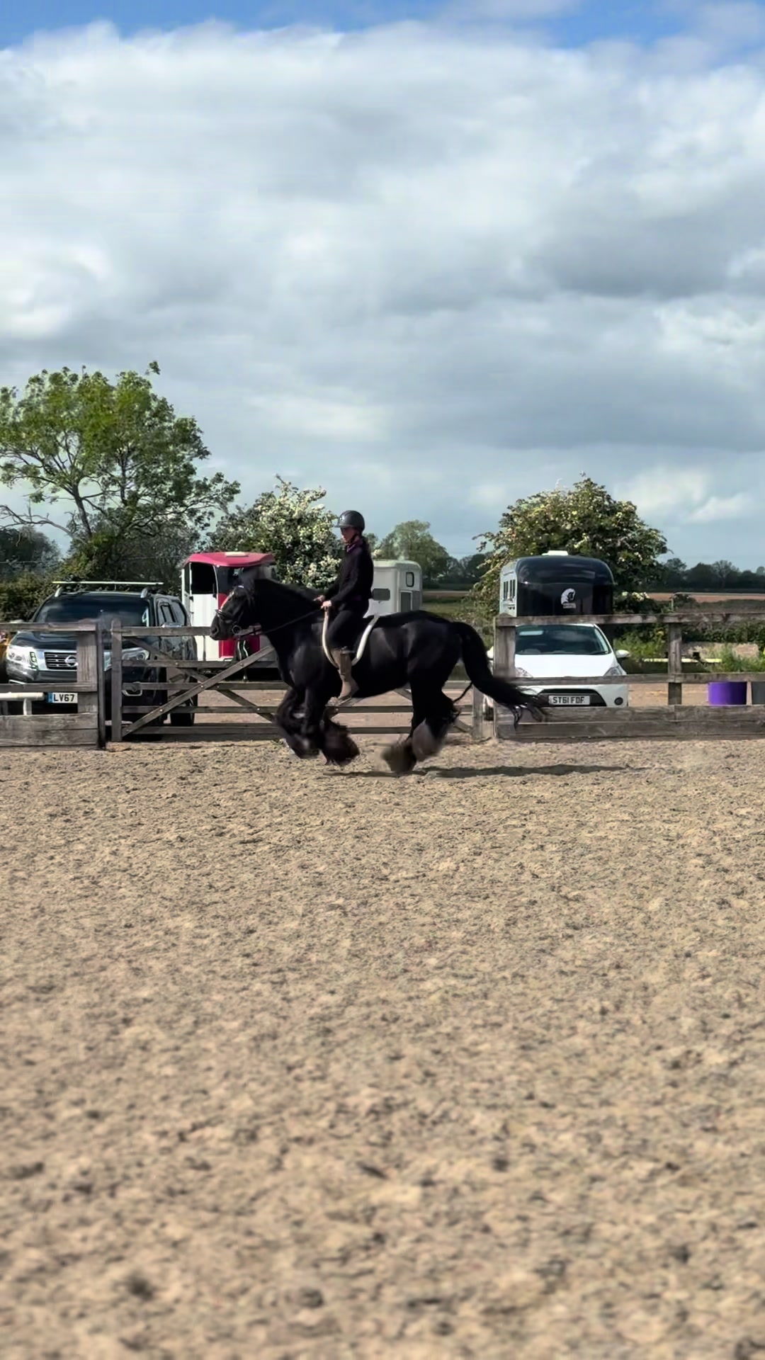 @Sophie&merlin🌸🐴