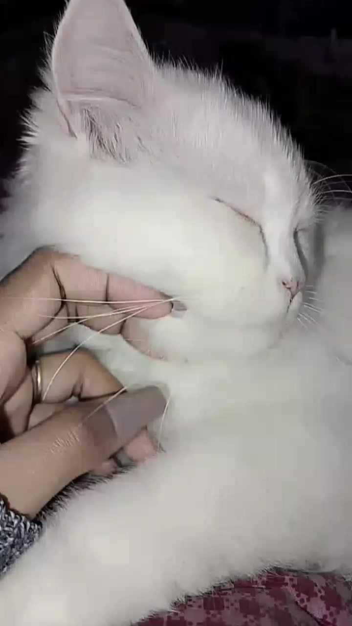 @سانولی🤎