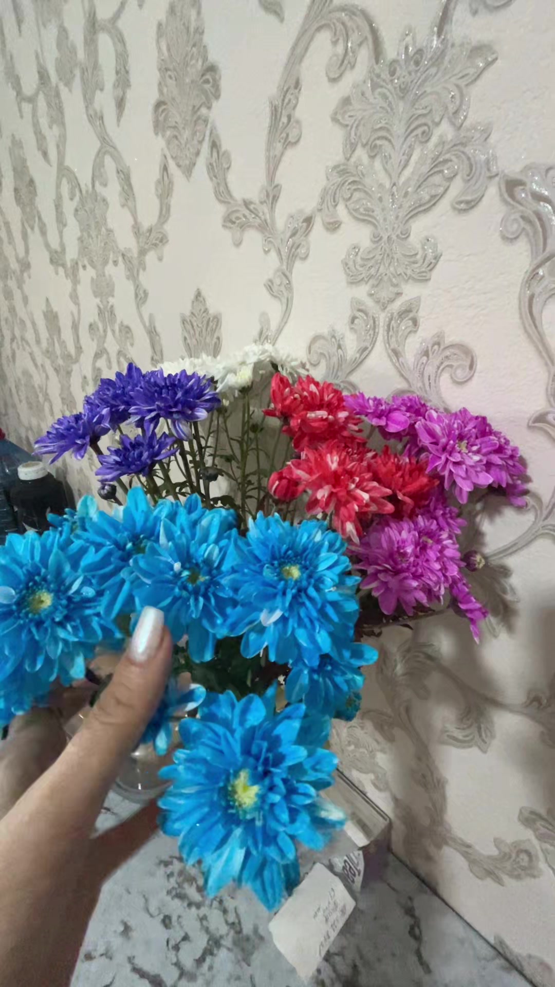 @xeyale♉