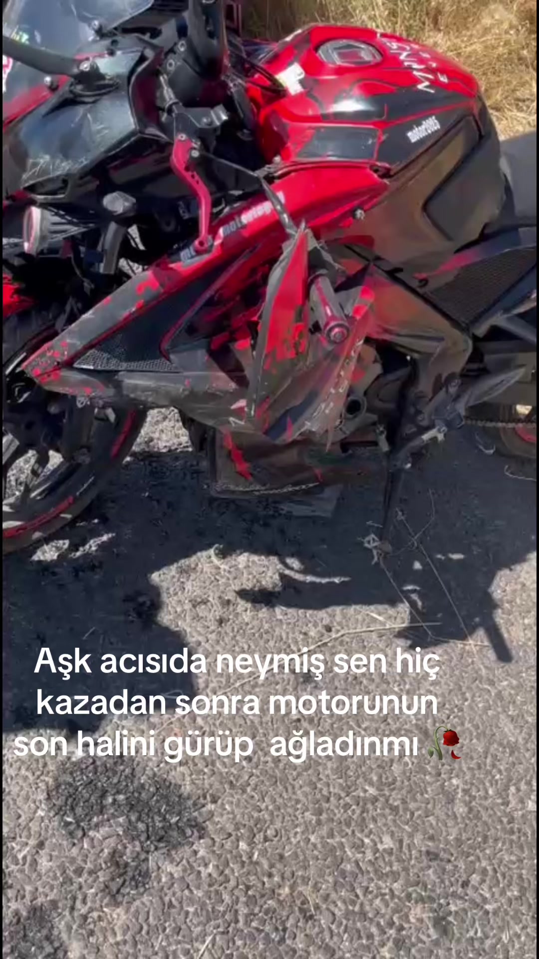 @𝕺 _𝖇𝖎𝖗_𝖐𝖗𝖆𝖑𝖑🦅
