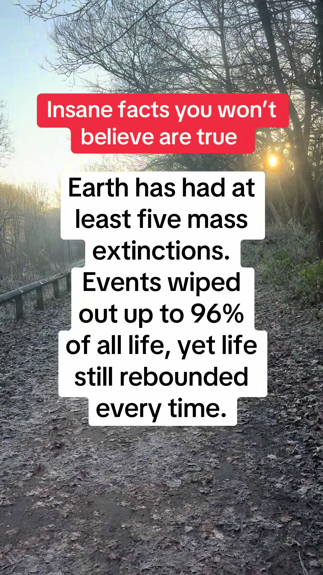 @Daily facts
