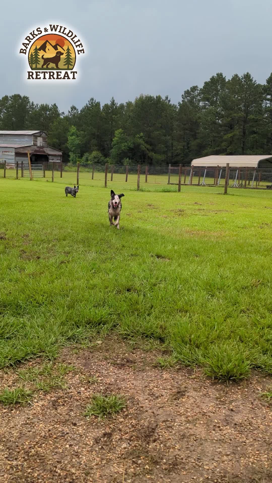 @Barks & Wildlife Longville LA