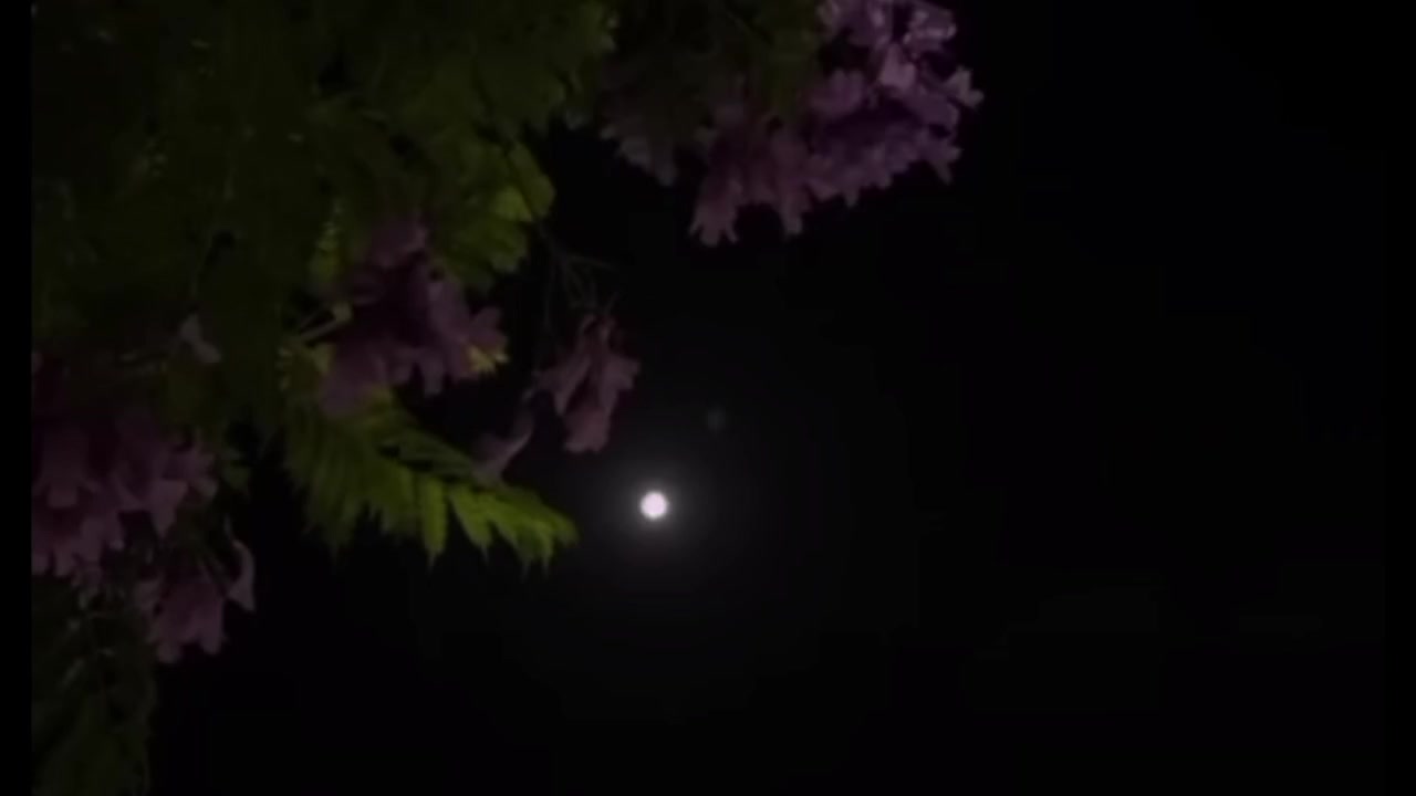 @🌑🖤