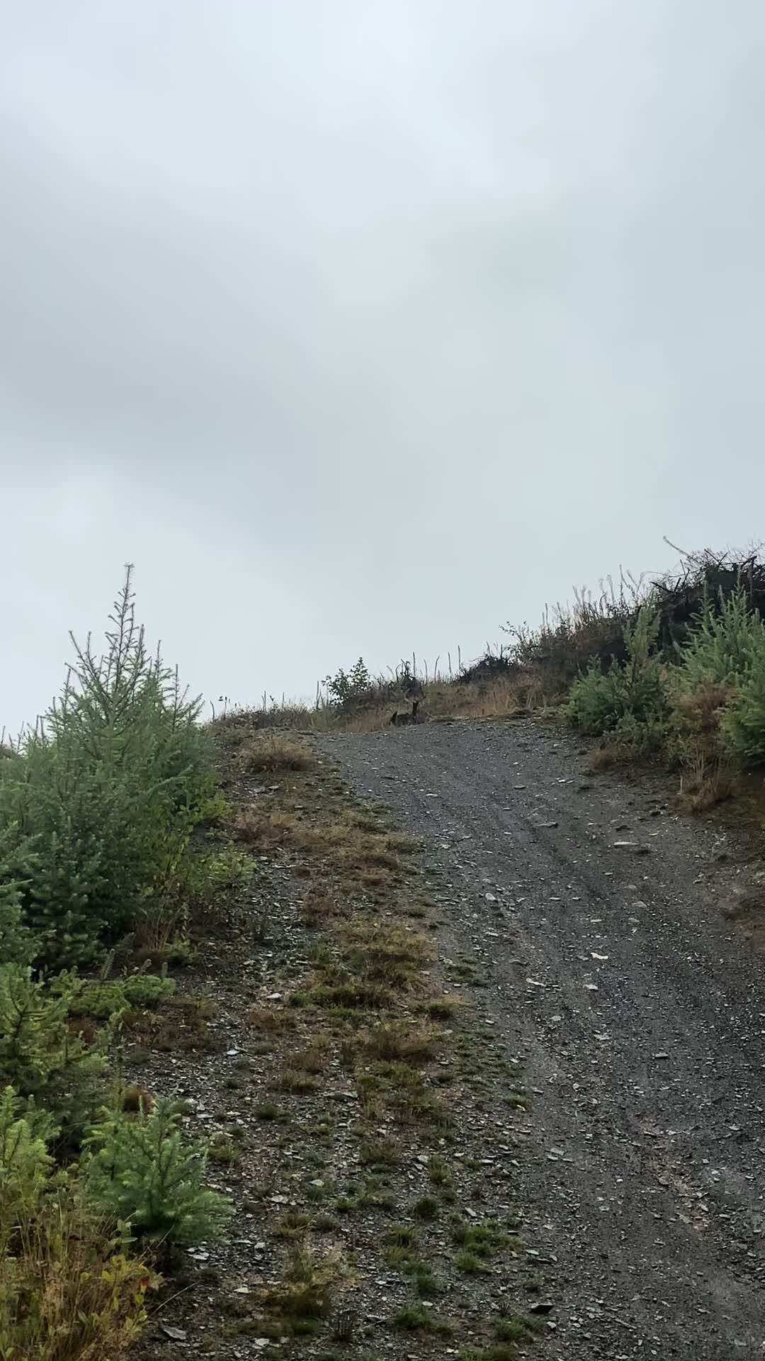 @Oliver.dh🇬🇧