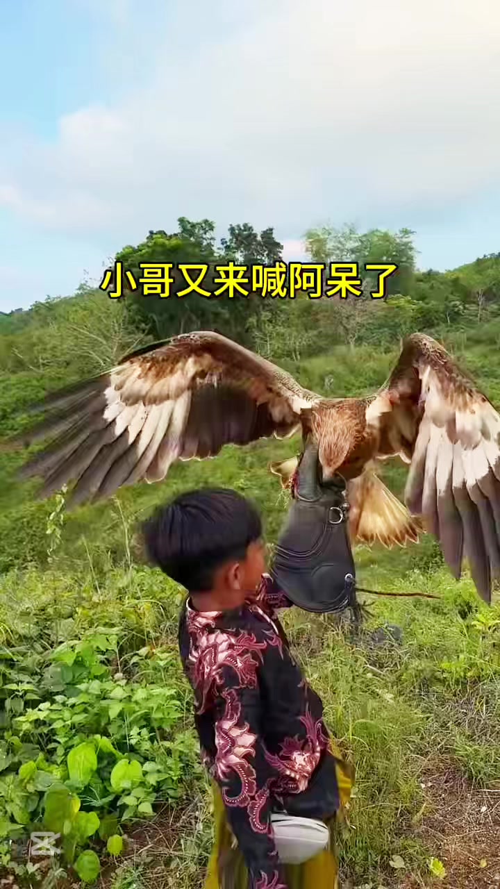 @liujiangyu