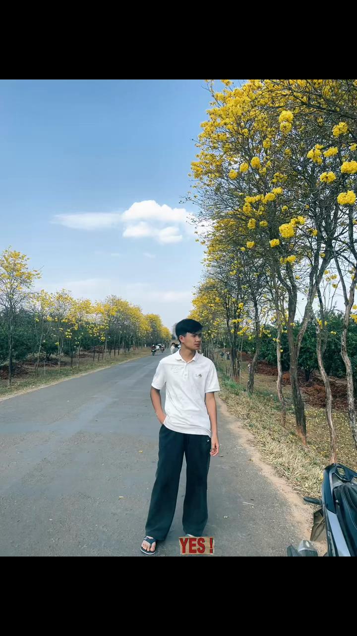 @王小 🧊