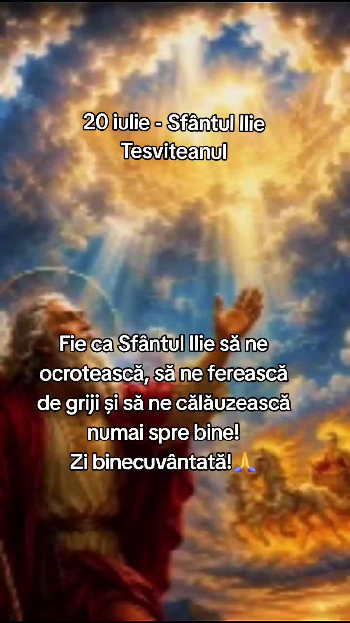 @Nița Foitoș
