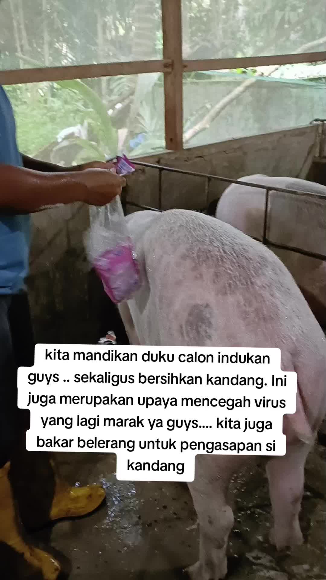 @mama Brigita