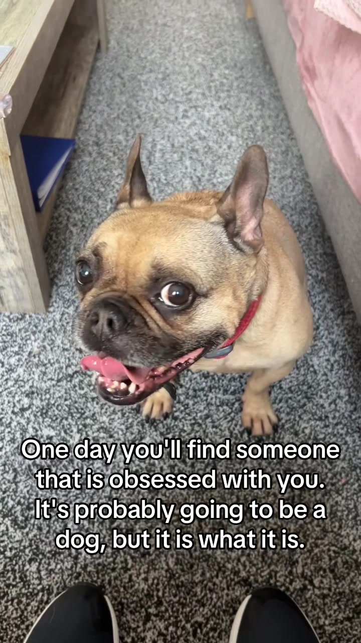 @katie