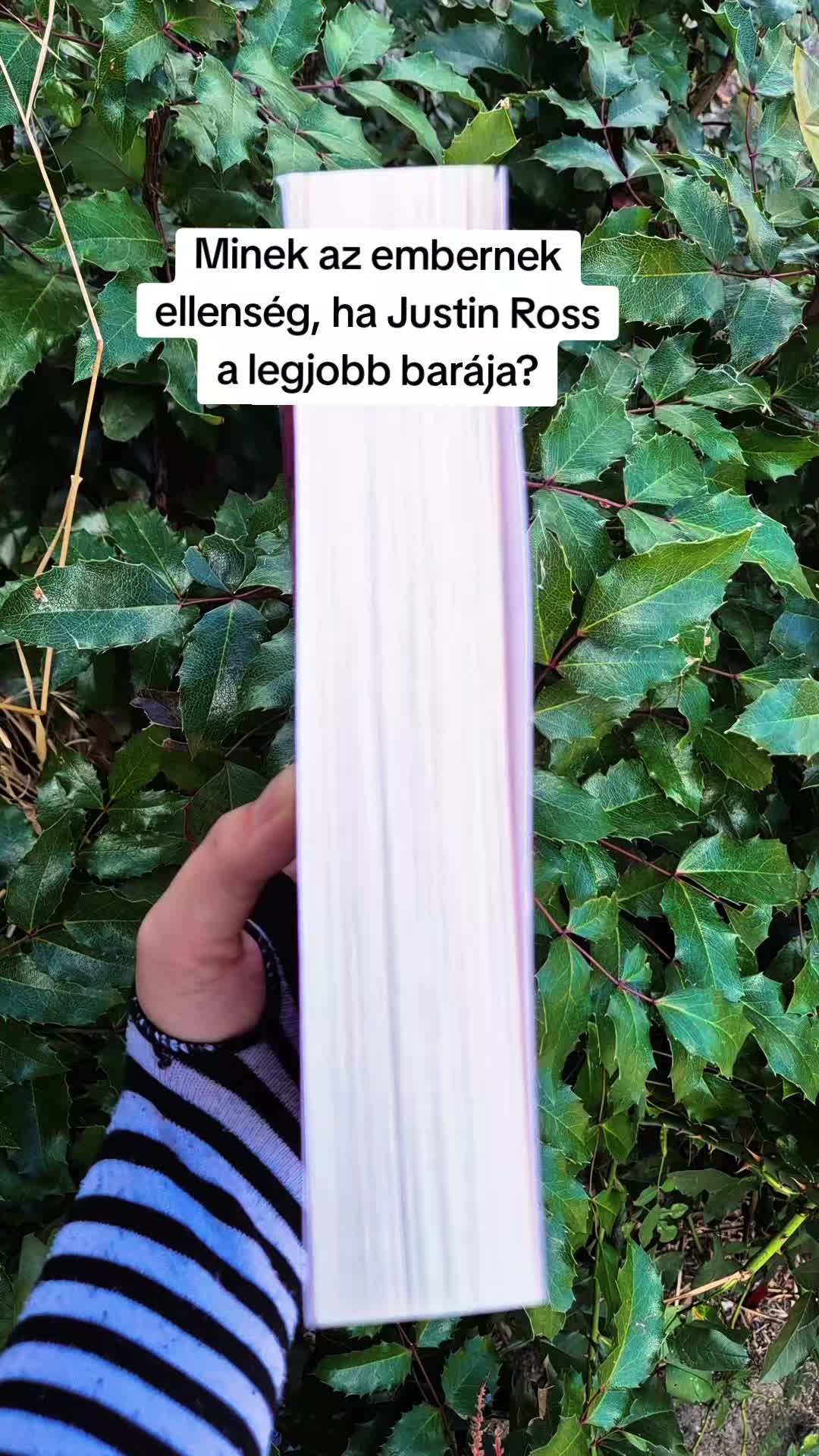 @Mezőföldi Pitypang író✍️