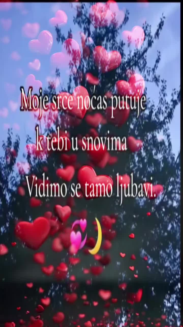 @🇧🇦Bosanka🇧🇦