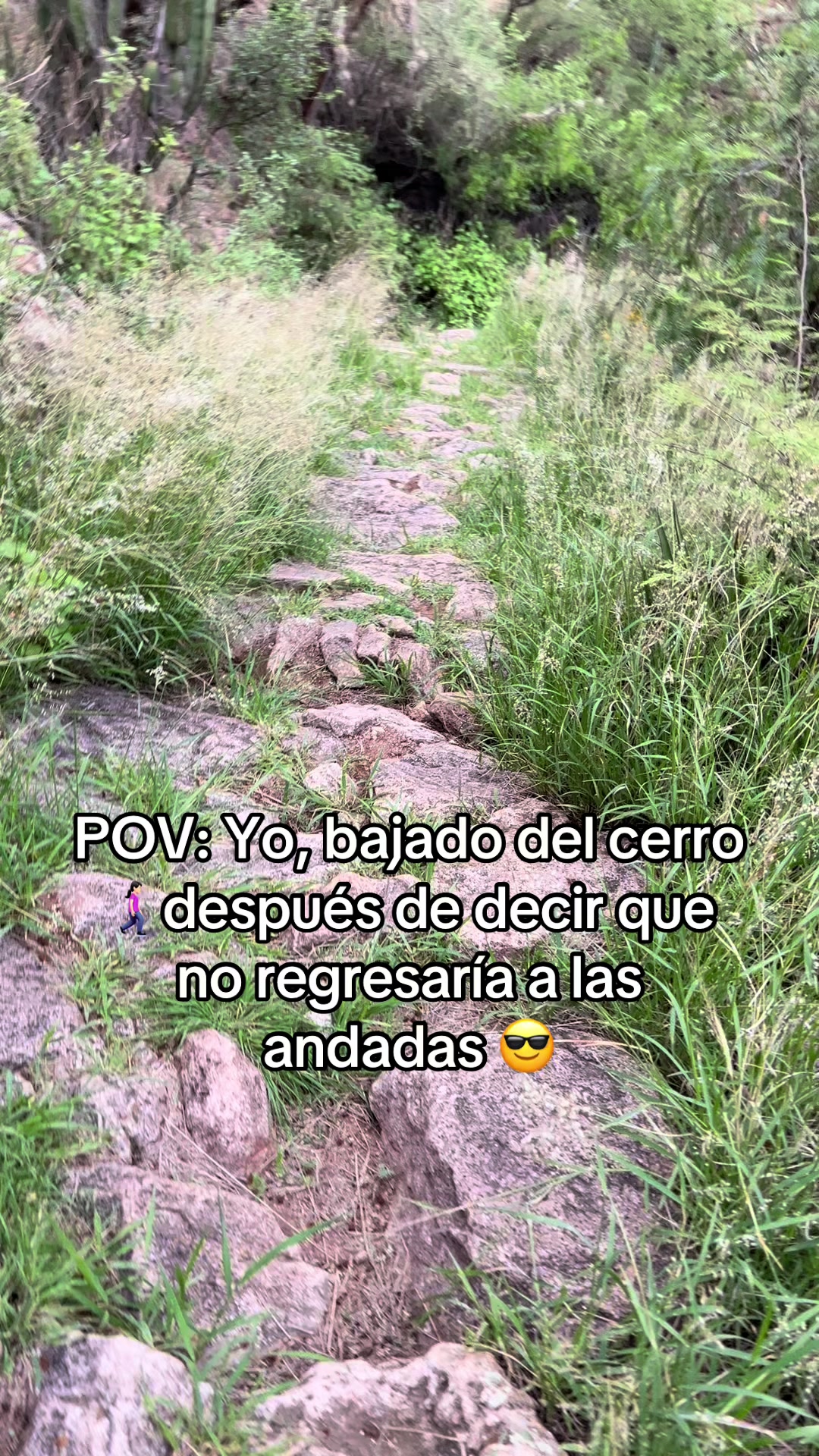@Chely Glez