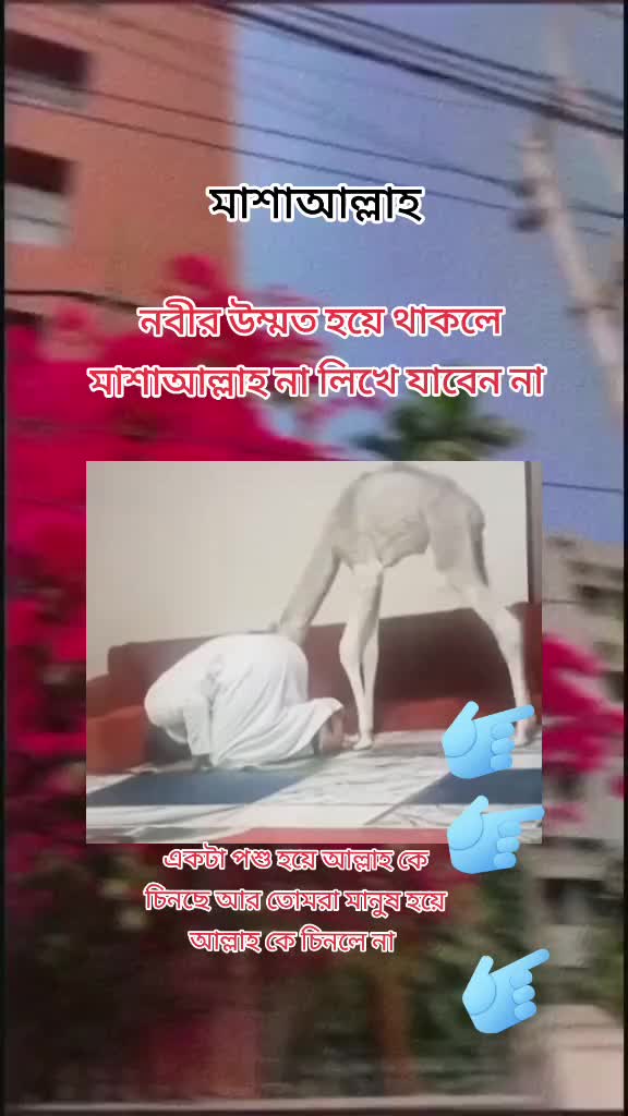 @Islamic Caption đ¤˛âī¸