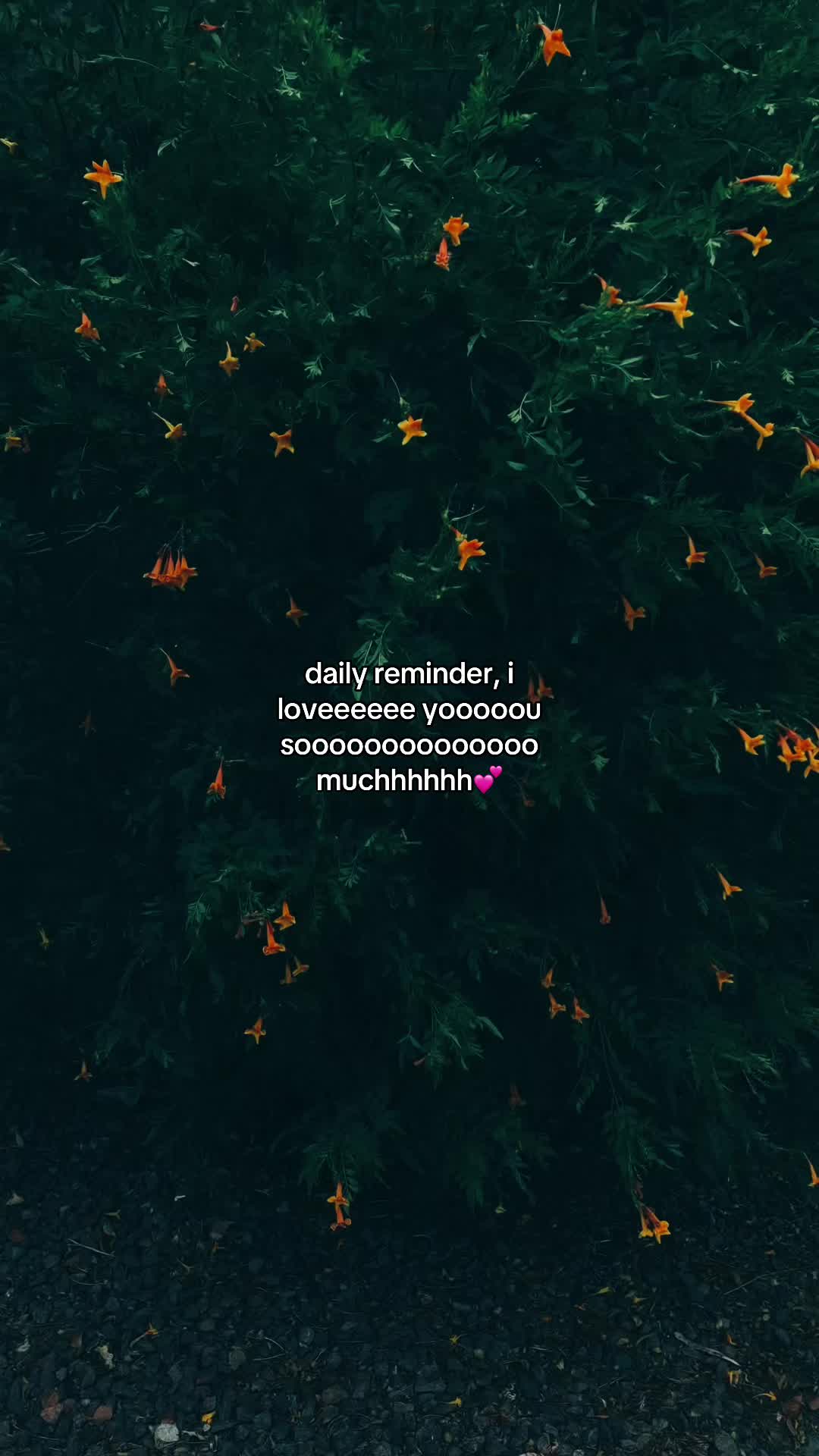 @19xxsx.cious
