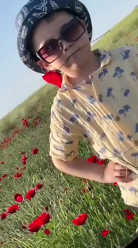 @ysm.pyrz