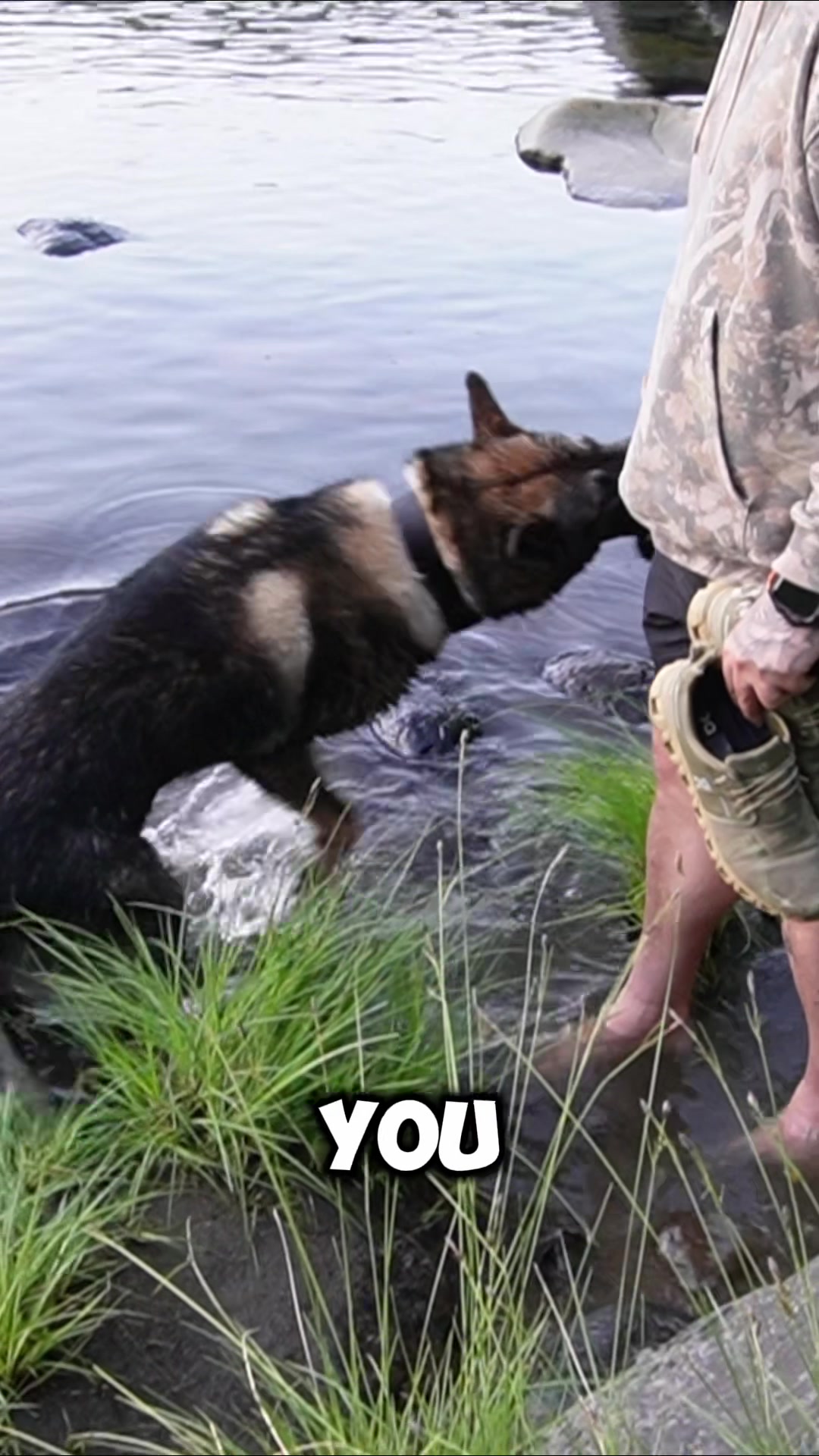@K9 Arlo