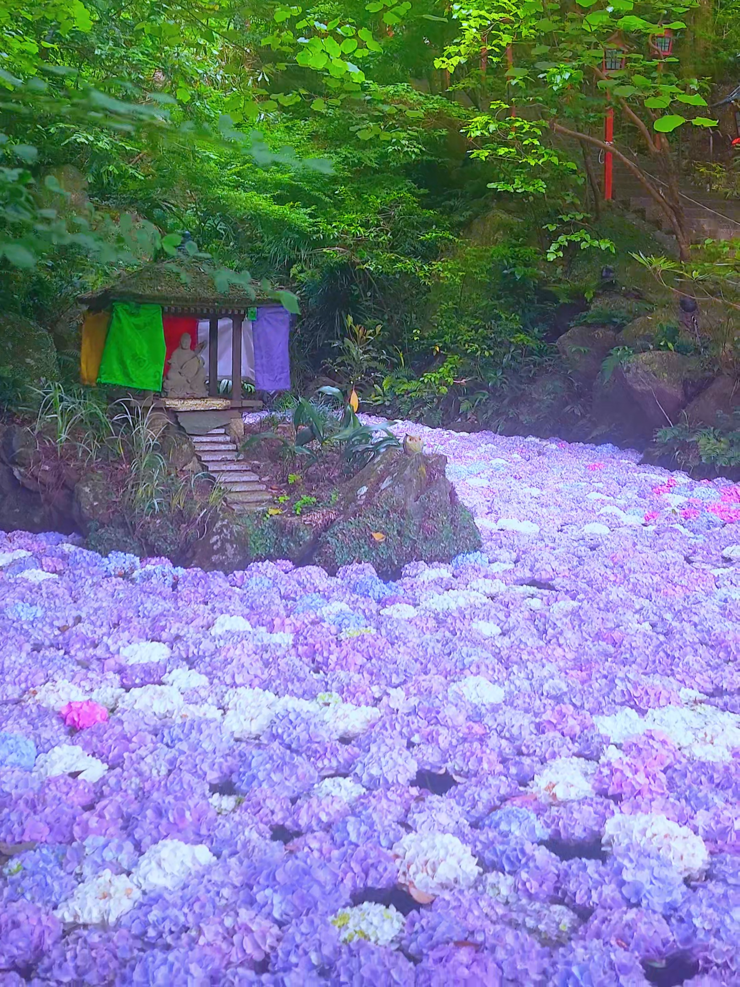 @Ⓜⓘⓚⓐ🇯🇵