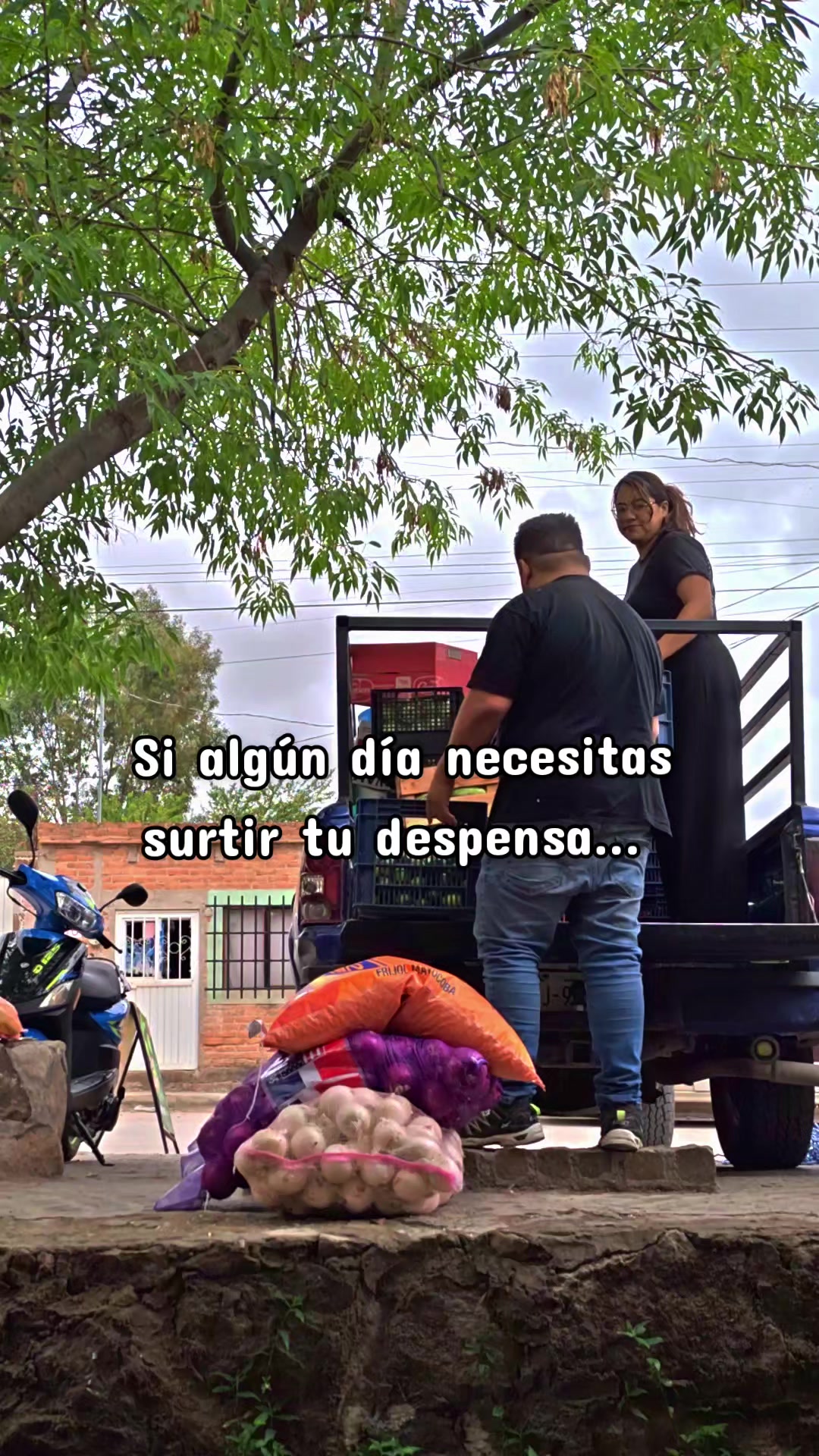 @Conecta-dos