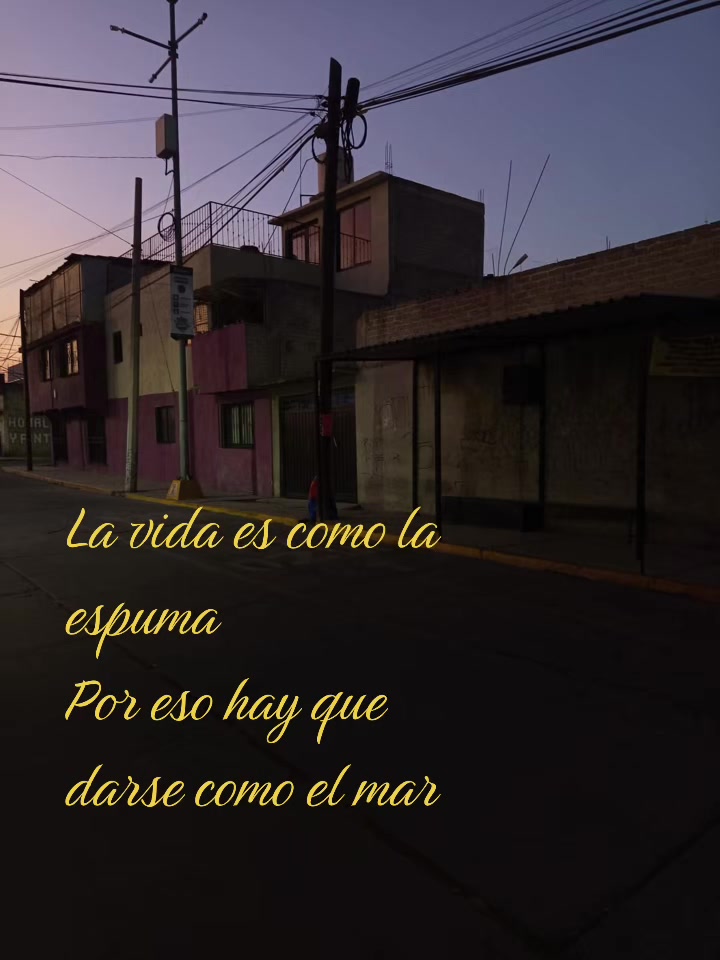 @𝘐𝘷𝘪𝘯𝘪𝘯𝘪𝘥𝘦𝘭 𝘙𝘦𝘺٠࣪⭑