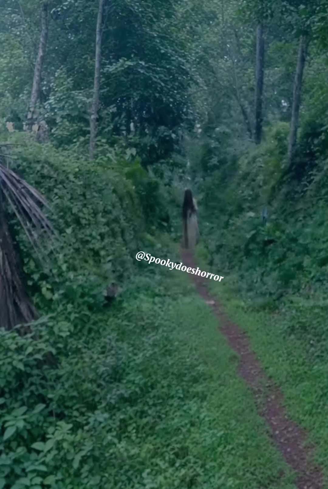 @Spooky👻