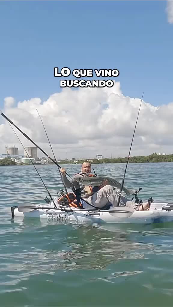 @Raul-Raul