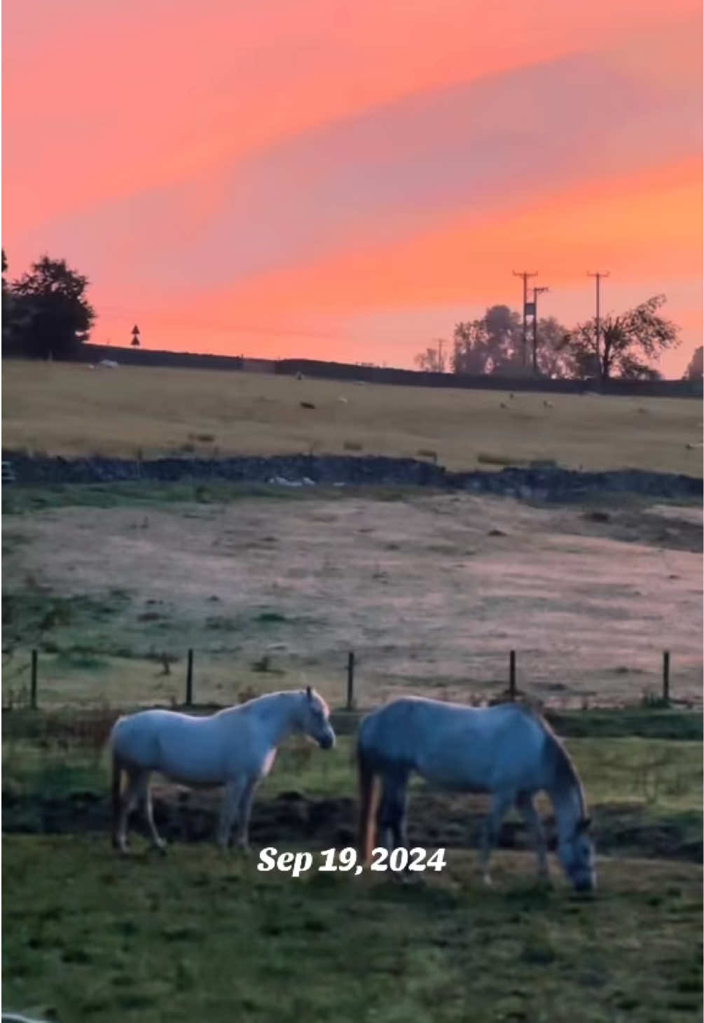 @Paula&rsquo;s Farm
