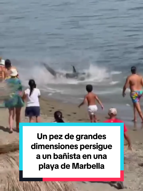 @El País