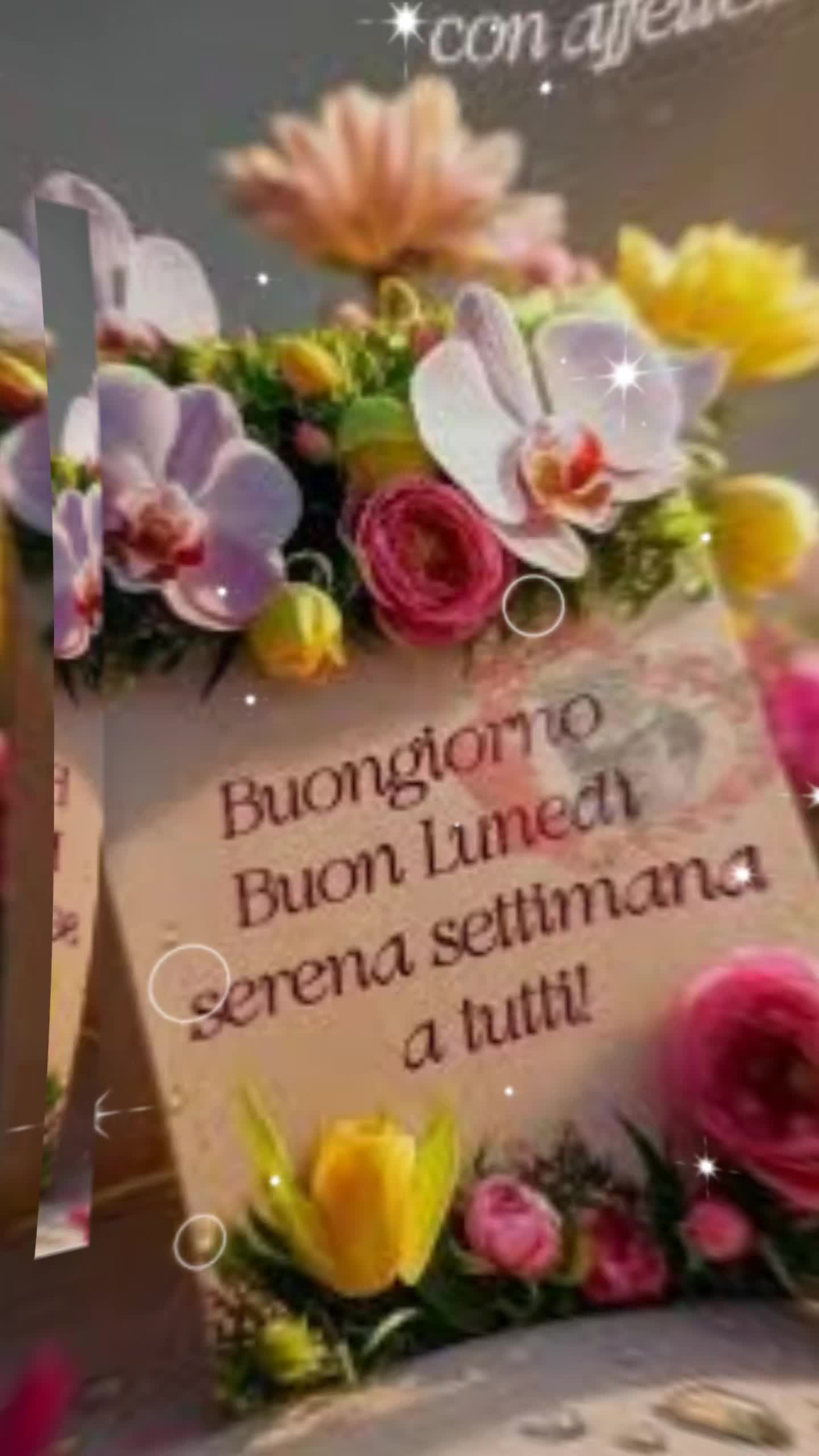 @Patrizia siesto