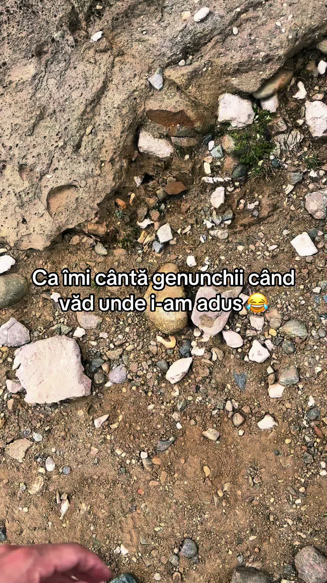 @Sebi
