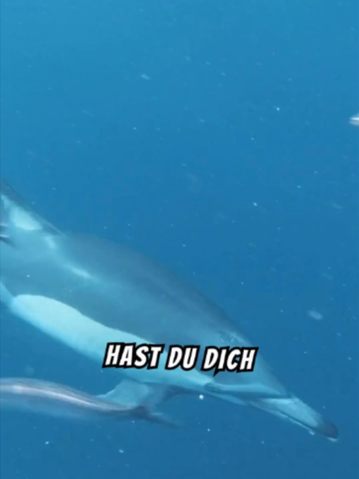 @Unglaubliche Fakten zu ...
