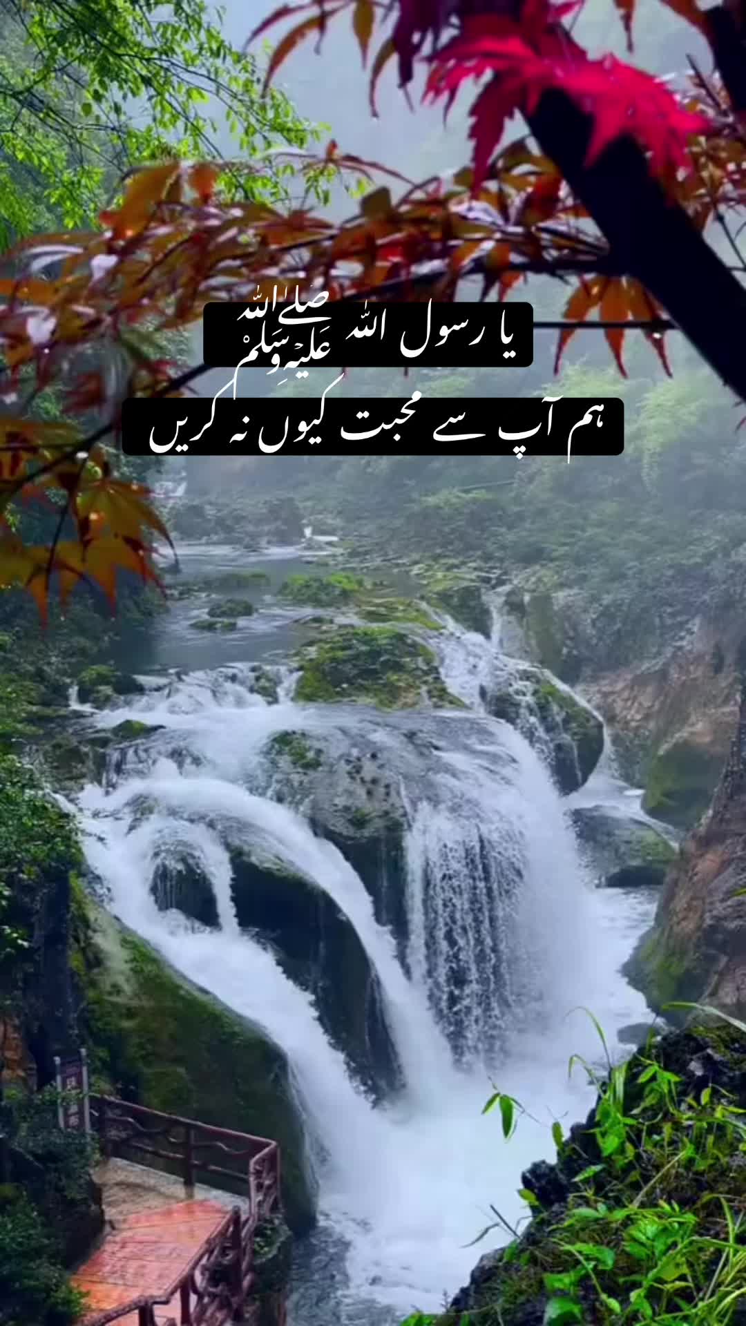 @Islamic Land