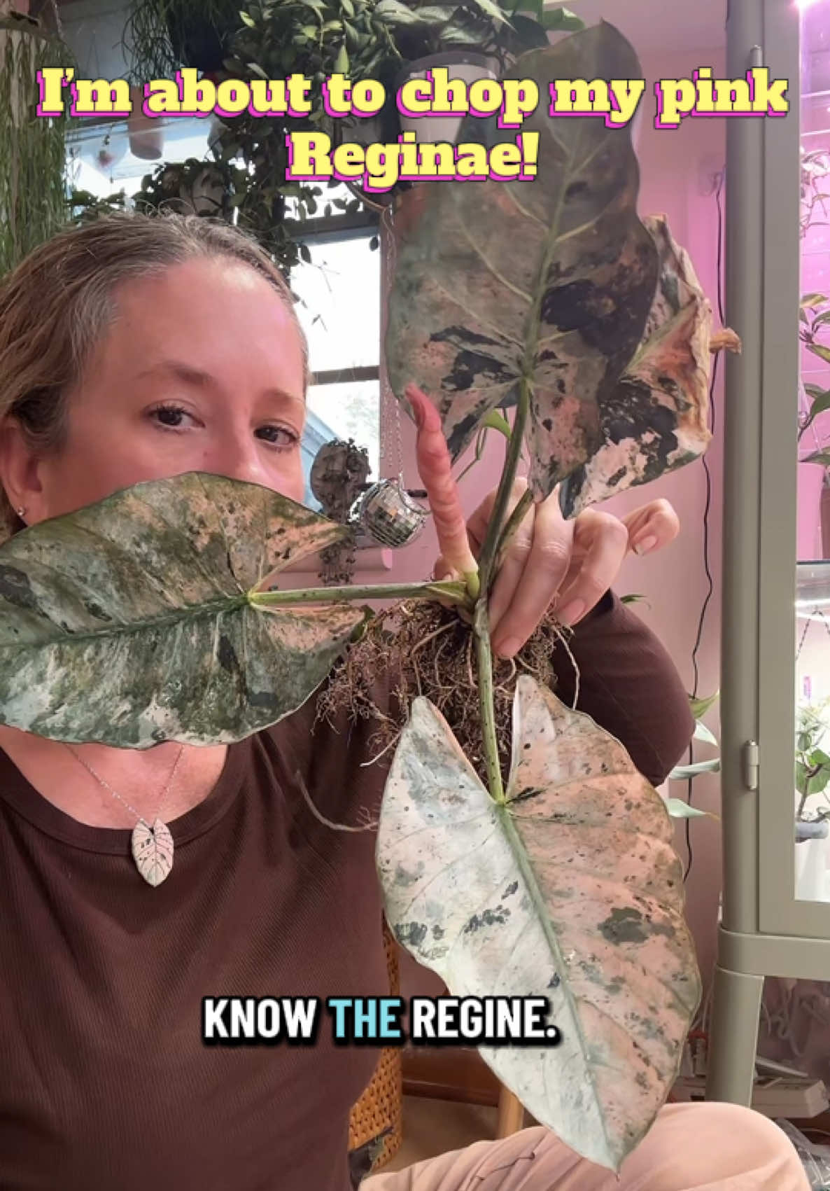 @Erin Keys - TheBoujeeGreenhous
