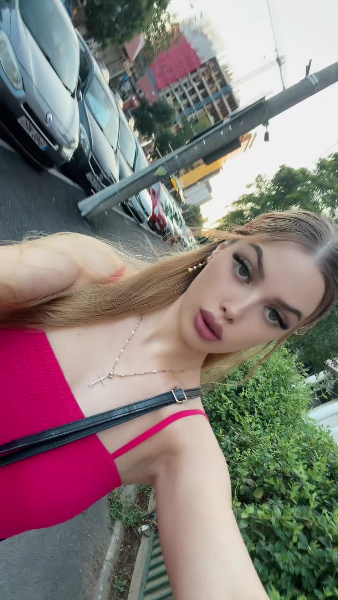 @Larisa AL