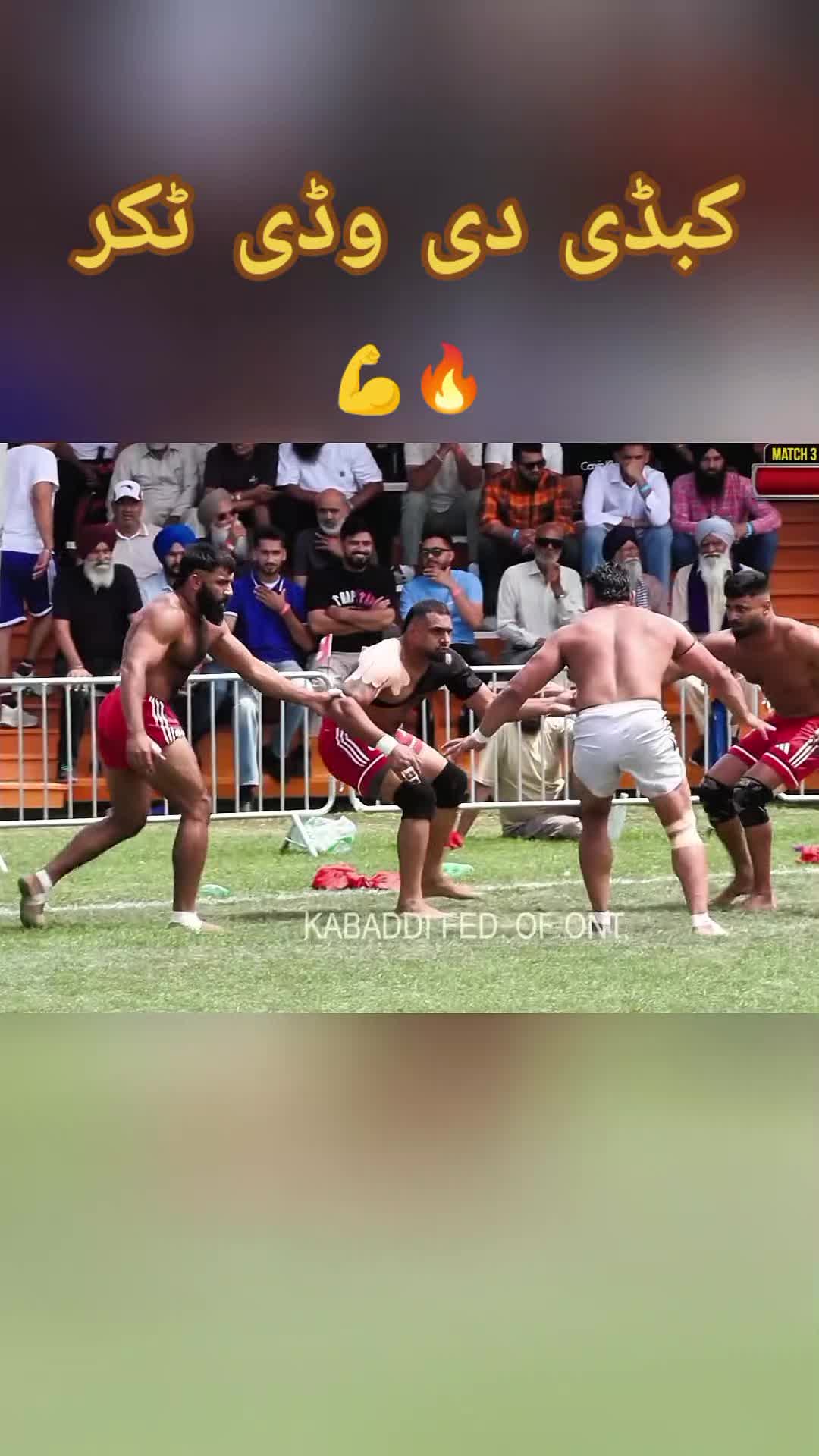 @♥︎𝘀𝗵𝗮𝗸𝗶 𝗚𝘂𝗷𝗷𝗮𝗿 ♥︎