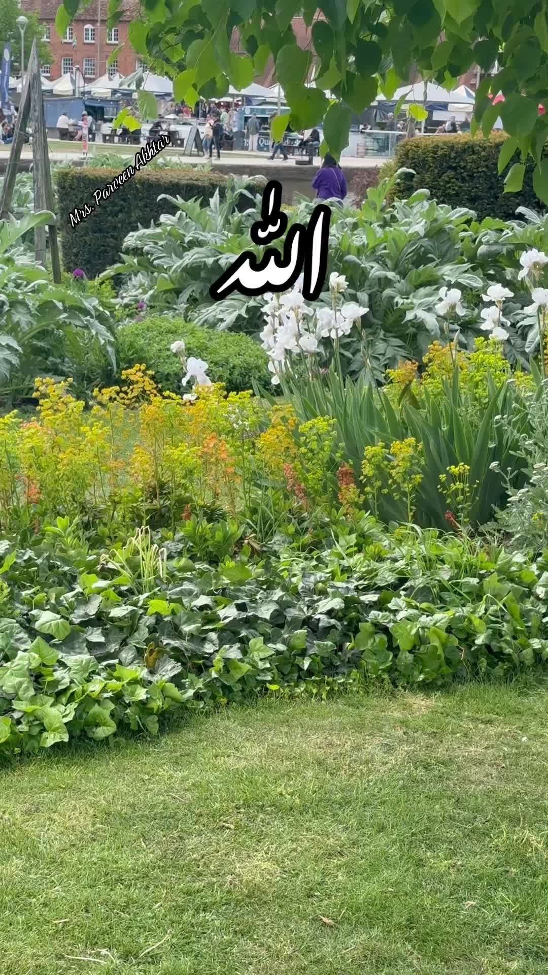 @Parveen Akhtar