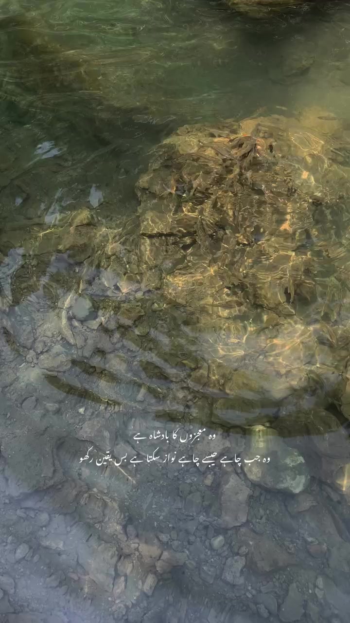 @🦋⃟🇲 ɑɧꀤ🦋⃟ ࿐