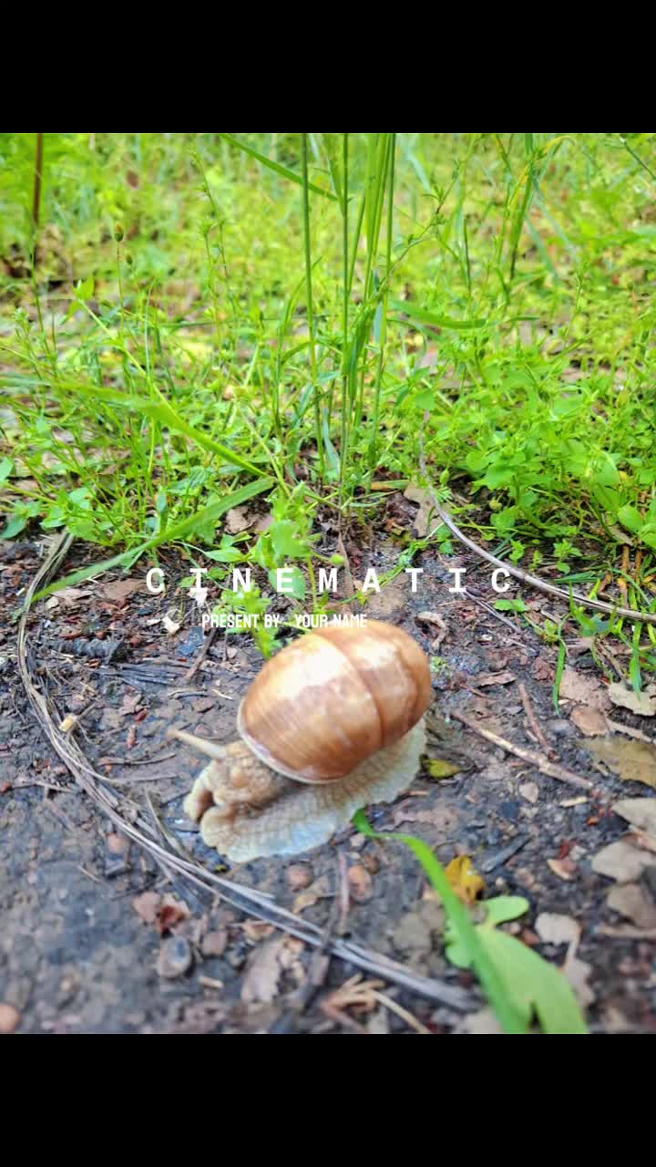 @Tímea Bácsalmási