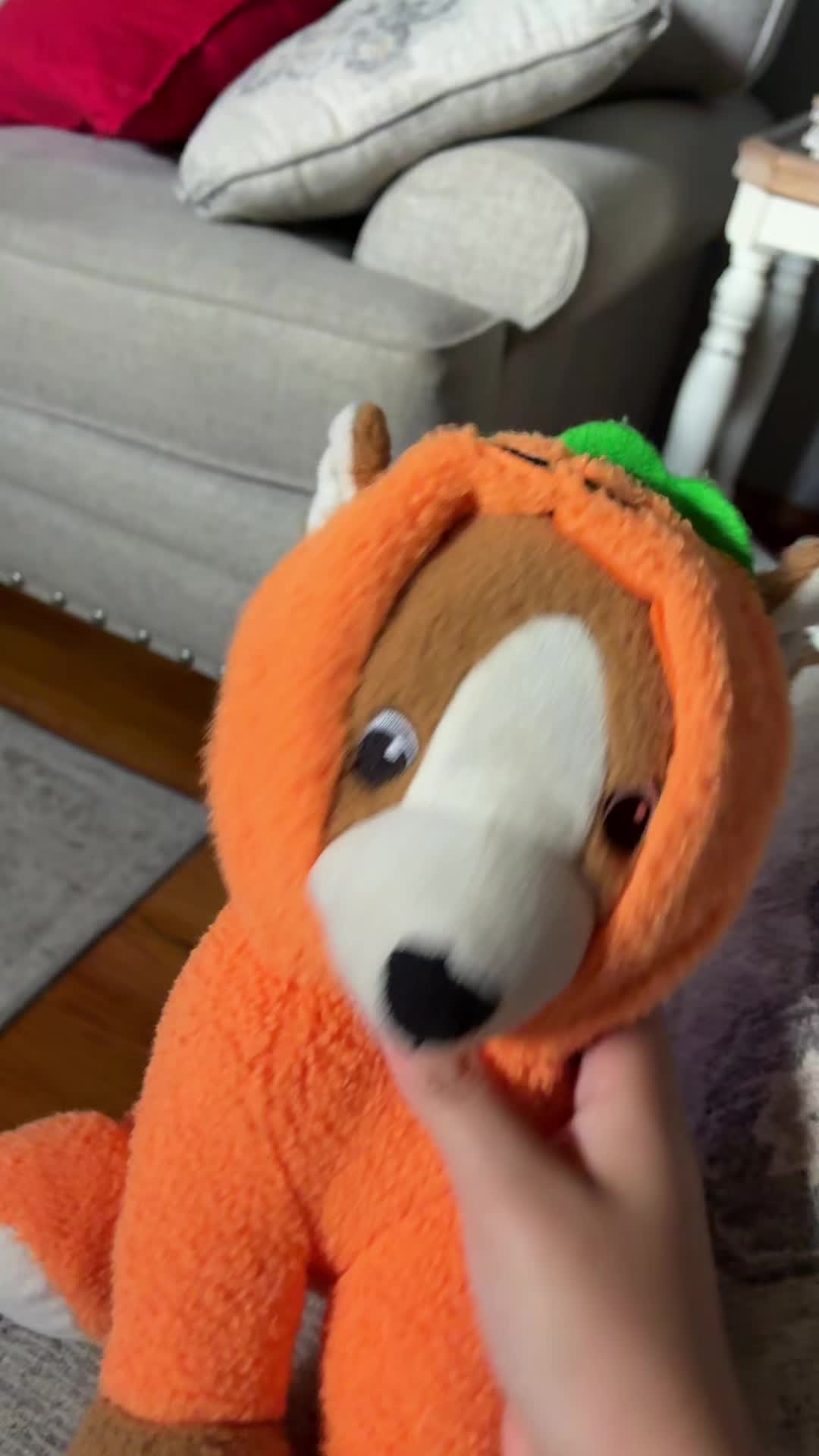 @bear